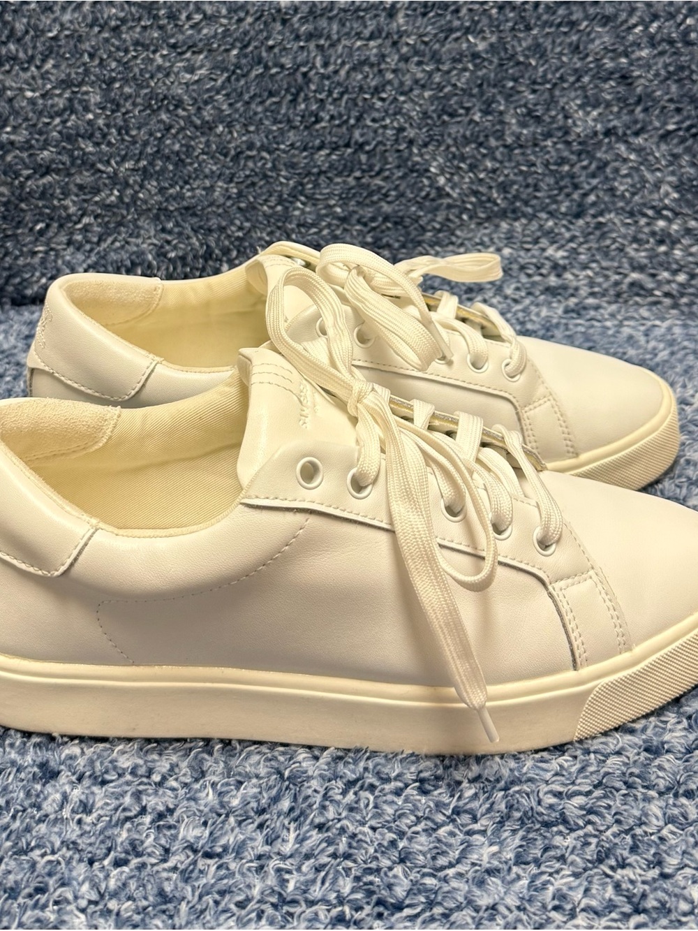 Sam Edelman | Ethyl low top sneakers | Size = 8 - Picture 5 of 9